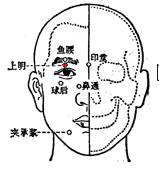 上明