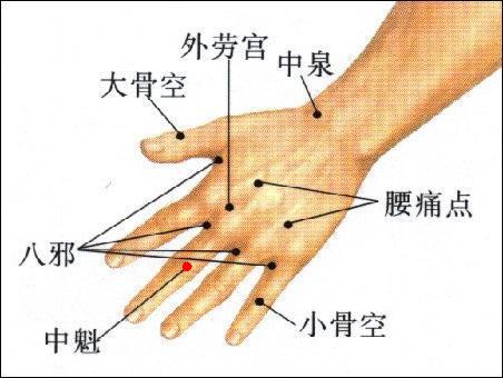 中魁