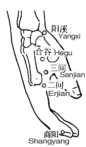 Erjian