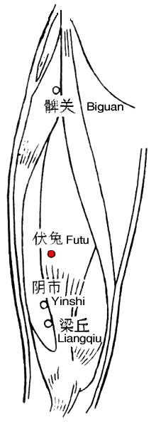Futuxue