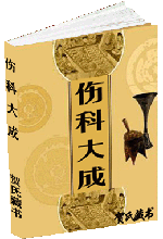 伤科大成