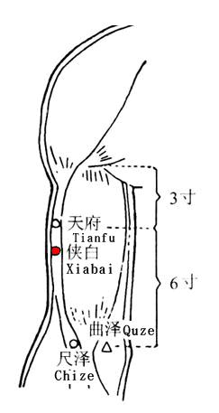 Xiabai