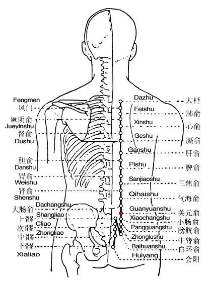 Guanyuanshu