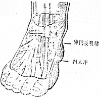 内太冲