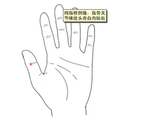 凤眼