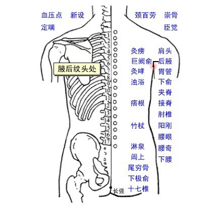 后腋