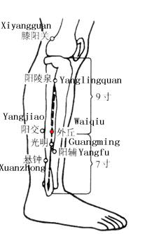 Waiqiu