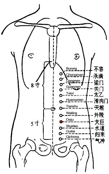 Daju