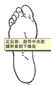女膝