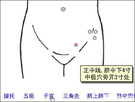 子宫
