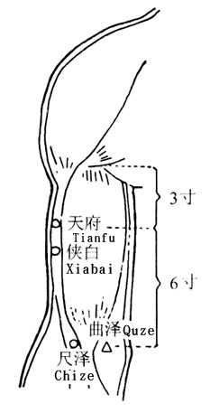 尺泽