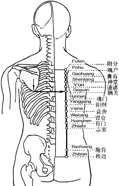 Zhishi
