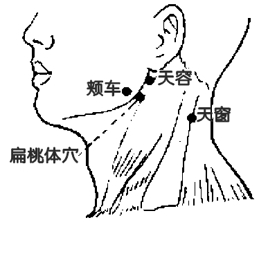 扁桃体穴