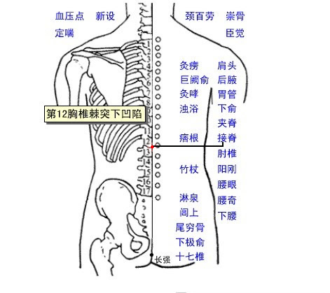接脊