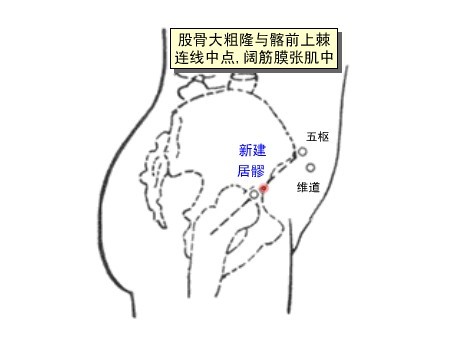 新建穴