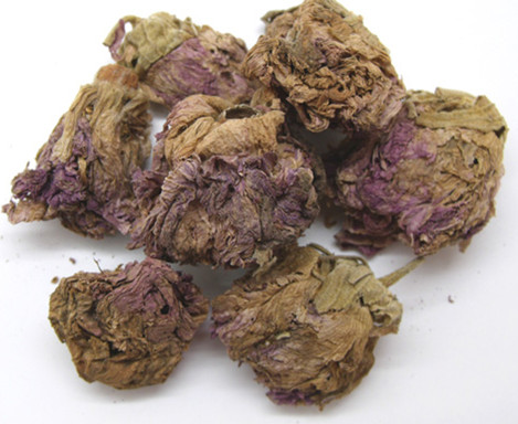 木芙蓉花