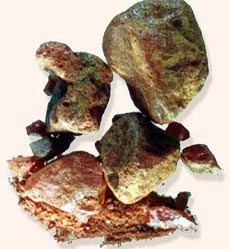 GangMu174_1