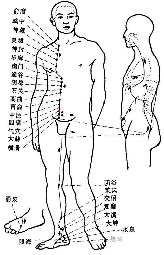 Qixue