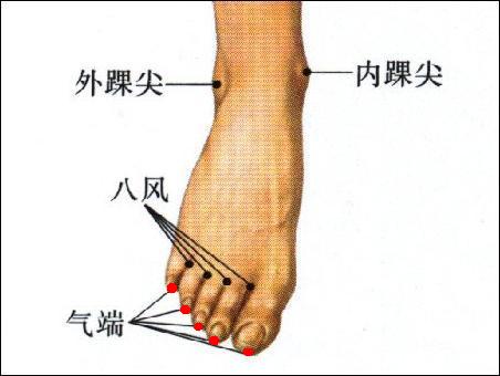 气端