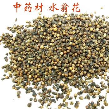 水翁花1