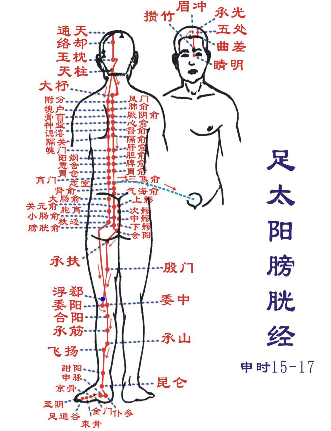 Fuxi