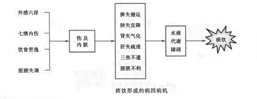 痰饮的形成