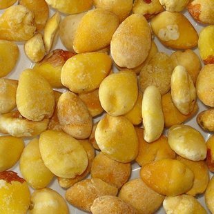 白果仁
