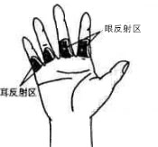 眼反射区