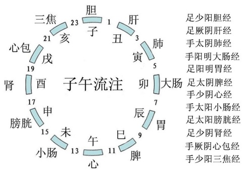 子午流注