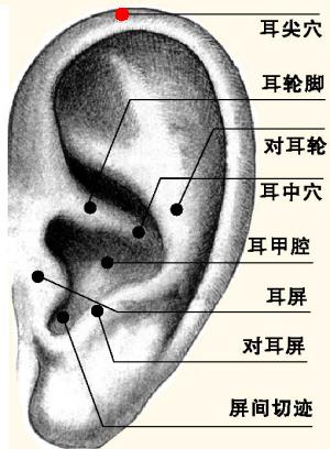 耳尖