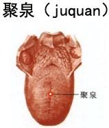 聚泉