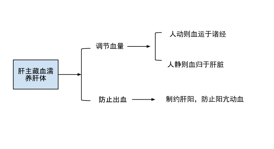 肝主藏血示意图