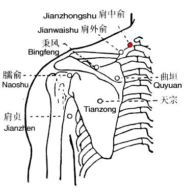 Jianzhongshu