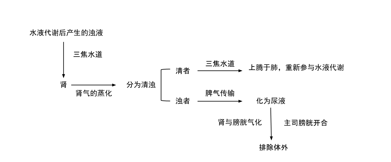 尿液生成与排泄