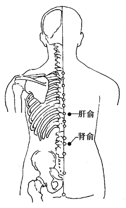 2-5-5