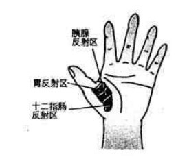胃反射区 