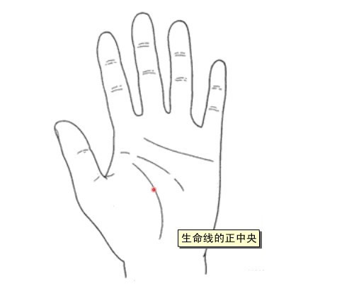 胃肠点