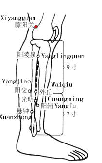 Xiyangguan