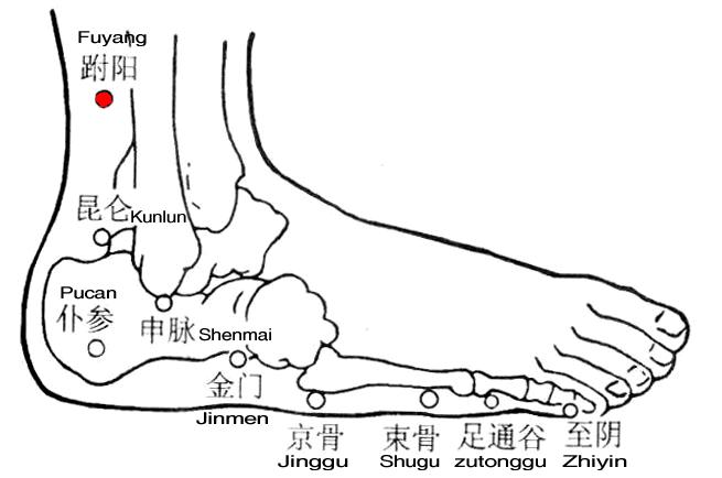 Fuyang