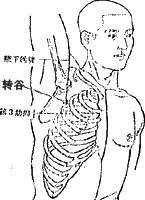 转谷