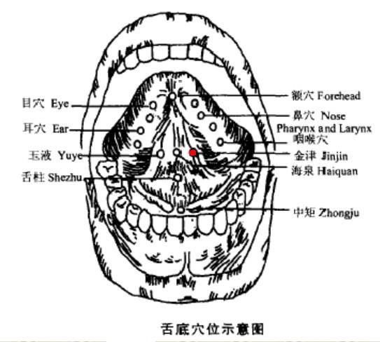 金津