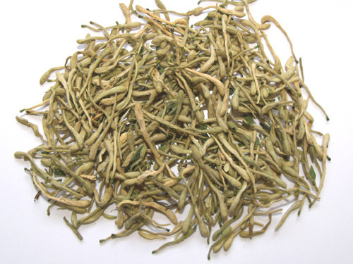 金银花2