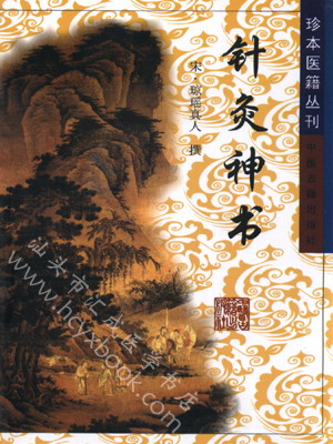 针灸神书