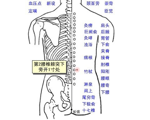 阳刚穴 