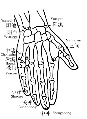 Yangchi