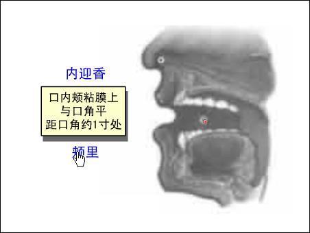 颊 里 