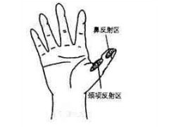 鼻反射区